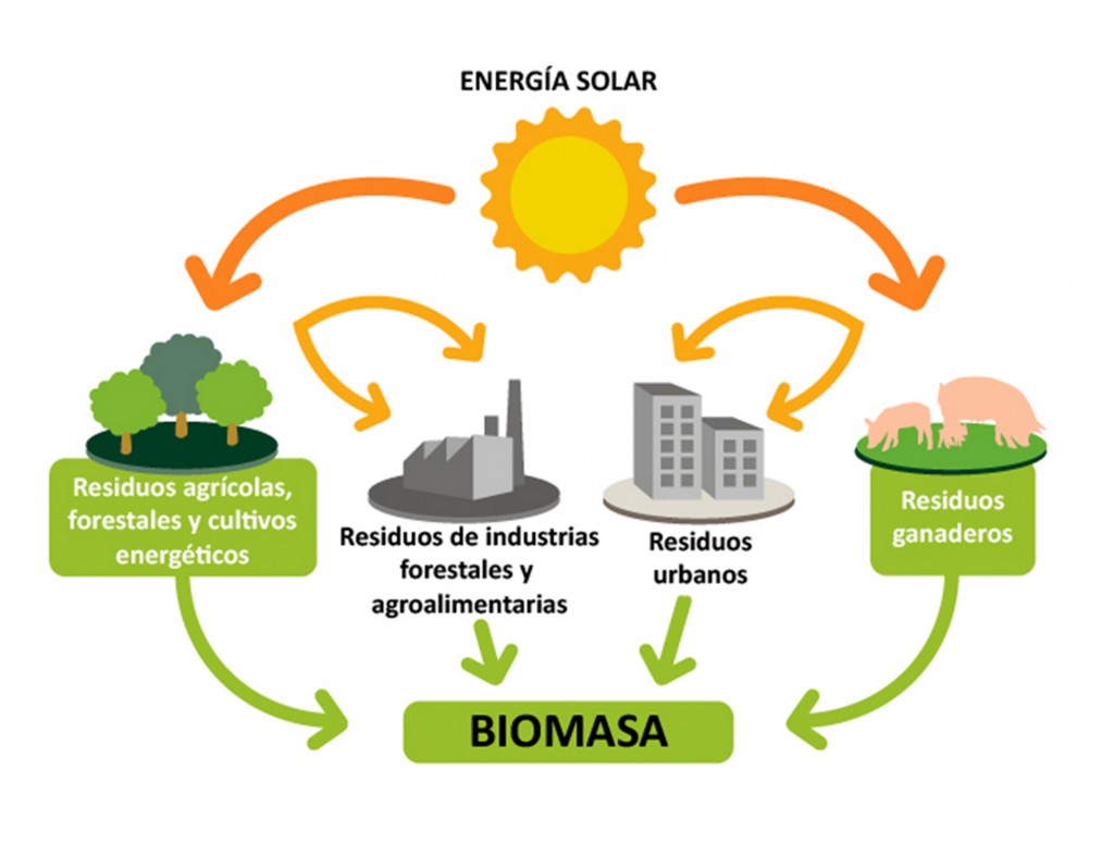 Producir energía con la biomasa